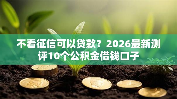 不看征信可以贷款?2026最新测评10个公积金借钱口子 不看征信可以贷款?2026最新测评10个公积金借钱口子