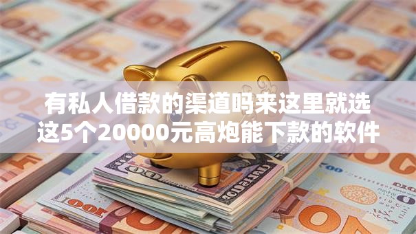 有私人借款的渠道吗来这里就选这5个20000元高炮能下款的软件