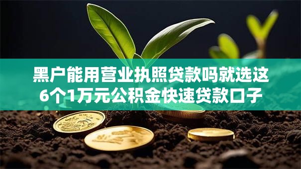 黑户能用营业执照贷款吗就选这6个1万元公积金快速贷款口子 黑户能用营业执照贷款吗就选这6个1万元公积金快速贷款口子