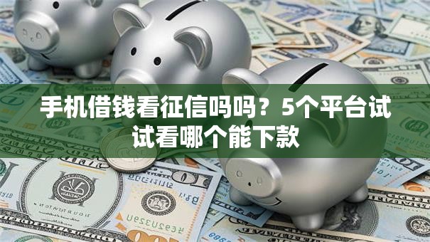手机借钱看征信吗吗?5个平台试试看哪个能下款 手机借钱看征信吗吗?5个平台试试看哪个能下款