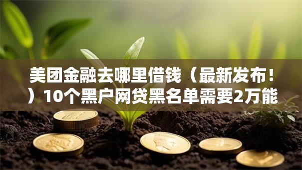 美团金融去哪里借钱(最新发布!)10个黑户网贷黑名单需要2万能借款平台 美团金融去哪里借钱(最新发布!)10个黑户网贷黑名单需要2万能借款平台
