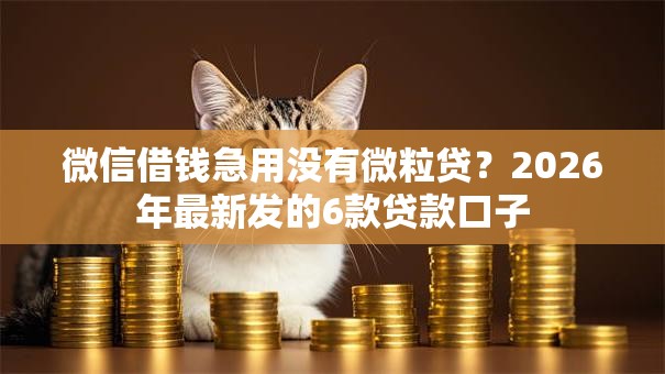 微信借钱急用没有微粒贷?2026年最新发的6款贷款口子 微信借钱急用没有微粒贷?2026年最新发的6款贷款口子