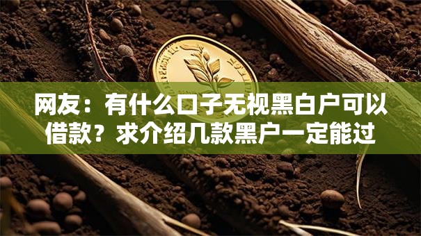 网友:有什么口子无视黑白户可以借款?求介绍几款黑户一定能过的平台 网友:有什么口子无视黑白户可以借款?求介绍几款黑户一定能过的平台