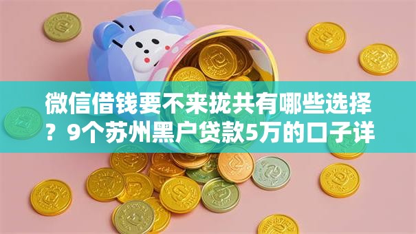 微信借钱要不来拢共有哪些选择?9个苏州黑户贷款5万的口子详解 微信借钱要不来拢共有哪些选择?9个苏州黑户贷款5万的口子详解