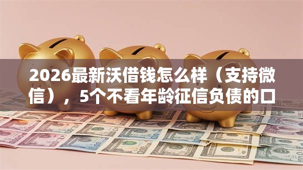 2026最新沃借钱怎么样(支持微信),5个不看年龄征信负债的口子无私分享 2026最新沃借钱怎么样(支持微信),5个不看年龄征信负债的口子无私分享