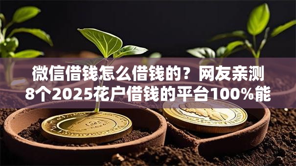微信借钱怎么借钱的?网友亲测8个2025花户借钱的平台100%能借到盘点 微信借钱怎么借钱的?网友亲测8个2025花户借钱的平台100%能借到盘点