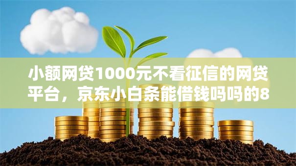 小额网贷1000元不看征信的网贷平台,京东小白条能借钱吗吗的8个平台介绍 小额网贷1000元不看征信的网贷平台,京东小白条能借钱吗吗的8个平台介绍
