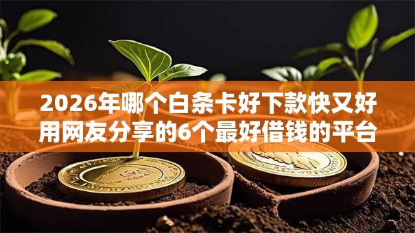 2026年哪个白条卡好下款快又好用网友分享的6个最好借钱的平台我觉得不错! 2026年哪个白条卡好下款快又好用网友分享的6个最好借钱的平台我觉得不错!