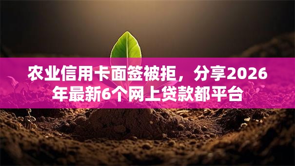 农业信用卡面签被拒，分享2026年最新6个网上贷款都平台