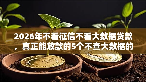 2026年不看征信不看大数据贷款，真正能放款的5个不查大数据的网贷口子推荐