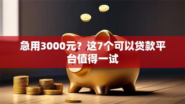 急用3000元?这7个可以贷款平台值得一试 急用3000元?这7个可以贷款平台值得一试