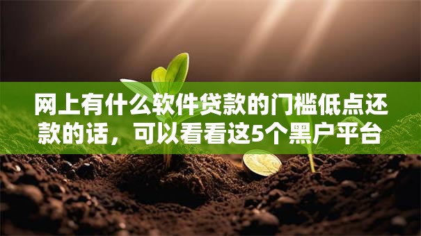网上有什么软件贷款的门槛低点还款的话，可以看看这5个黑户平台能借到钱啊急用