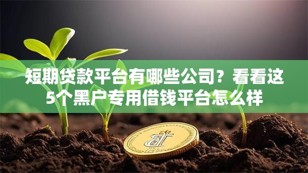 短期贷款平台有哪些公司?看看这5个黑户专用借钱平台怎么样 短期贷款平台有哪些公司?看看这5个黑户专用借钱平台怎么样