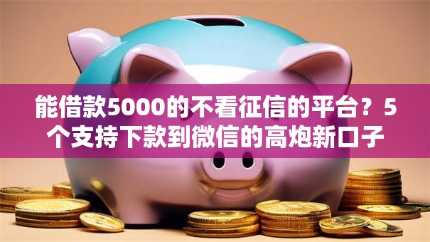 能借款5000的不看征信的平台？5个支持下款到微信的高炮新口子秒批秒下款不上征信不用还的