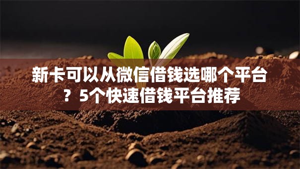 新卡可以从微信借钱选哪个平台？5个快速借钱平台推荐
