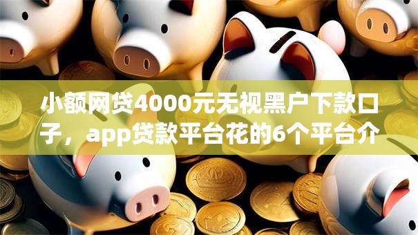 小额网贷4000元无视黑户下款口子，app贷款平台花的6个平台介绍