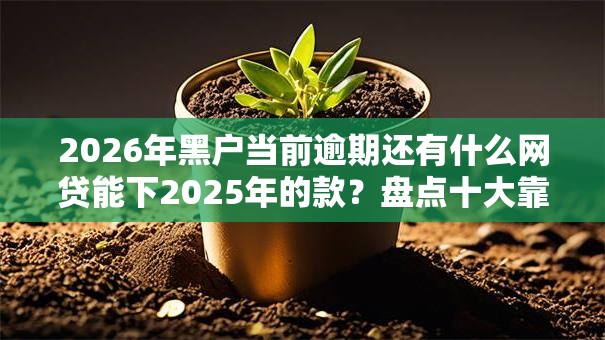 2026年黑户当前逾期还有什么网贷能下2025年的款?盘点十大靠谱良心网贷平台 2026年黑户当前逾期还有什么网贷能下2025年的款?盘点十大靠谱良心网贷平台