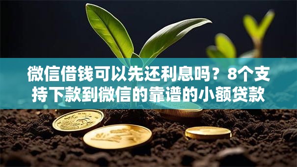 微信借钱可以先还利息吗?8个支持下款到微信的靠谱的小额贷款平台 微信借钱可以先还利息吗?8个支持下款到微信的靠谱的小额贷款平台