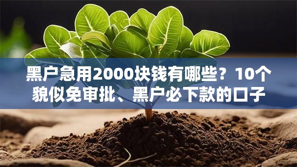 黑户急用2000块钱有哪些?10个貌似免审批、黑户必下款的口子贴吧推荐合集 黑户急用2000块钱有哪些?10个貌似免审批、黑户必下款的口子贴吧推荐合集