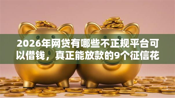 2026年网贷有哪些不正规平台可以借钱,真正能放款的9个征信花了还可以借钱的平台推荐 2026年网贷有哪些不正规平台可以借钱,真正能放款的9个征信花了还可以借钱的平台推荐