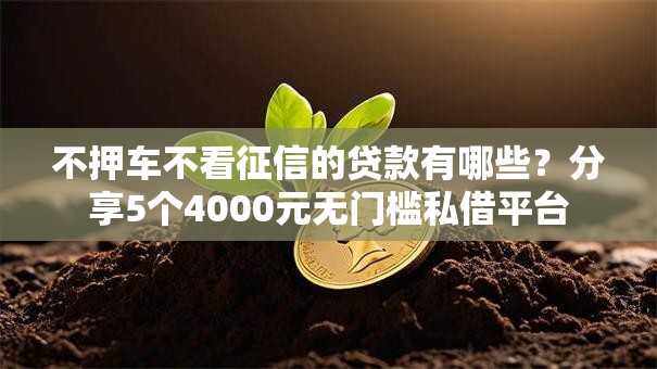 不押车不看征信的贷款有哪些?分享5个4000元无门槛私借平台 不押车不看征信的贷款有哪些?分享5个4000元无门槛私借平台