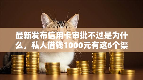 最新发布信用卡审批不过是为什么，私人借钱1000元有这6个渠道