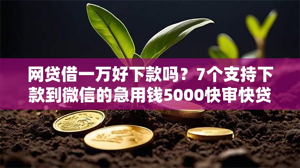 网贷借一万好下款吗?7个支持下款到微信的急用钱5000快审快贷无需征信口子 网贷借一万好下款吗?7个支持下款到微信的急用钱5000快审快贷无需征信口子