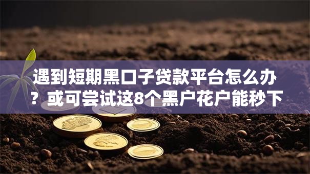 遇到短期黑口子贷款平台怎么办?或可尝试这8个黑户花户能秒下款的平台 遇到短期黑口子贷款平台怎么办?或可尝试这8个黑户花户能秒下款的平台