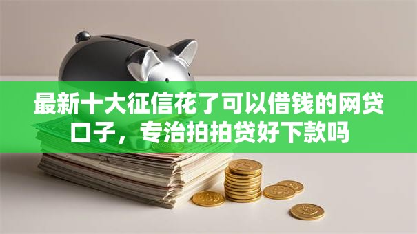 最新十大征信花了可以借钱的网贷口子，专治拍拍贷好下款吗