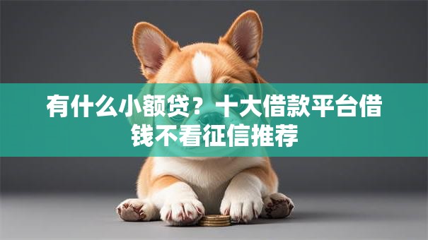 有什么小额贷？十大借款平台借钱不看征信推荐