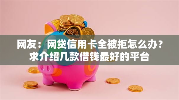 网友：网贷信用卡全被拒怎么办？求介绍几款借钱最好的平台