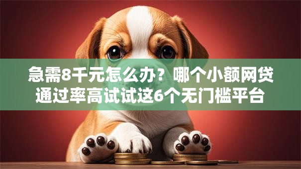 急需8千元怎么办？哪个小额网贷通过率高试试这6个无门槛平台