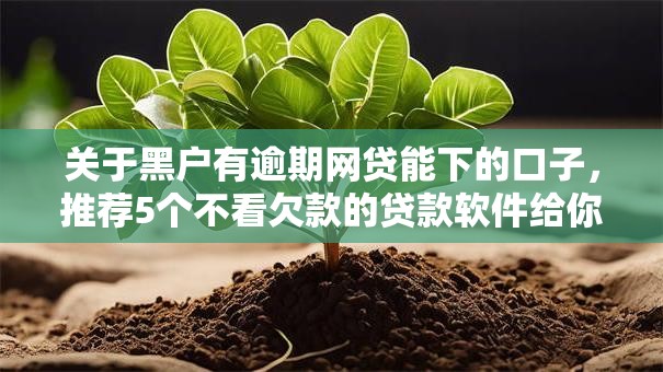 关于黑户有逾期网贷能下的口子,推荐5个不看欠款的贷款软件给你 关于黑户有逾期网贷能下的口子,推荐5个不看欠款的贷款软件给你