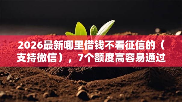 2026最新哪里借钱不看征信的(支持微信),7个额度高容易通过的平台无私分享 2026最新哪里借钱不看征信的(支持微信),7个额度高容易通过的平台无私分享