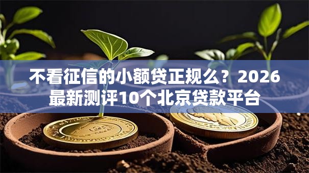 不看征信的小额贷正规么?2026最新测评10个北京贷款平台 不看征信的小额贷正规么?2026最新测评10个北京贷款平台