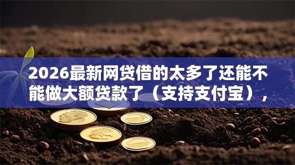 2026最新网贷借的太多了还能不能做大额贷款了(支持支付宝),6个比较好的小额贷款软件无私分享 2026最新网贷借的太多了还能不能做大额贷款了(支持支付宝),6个比较好的小额贷款软件无私分享