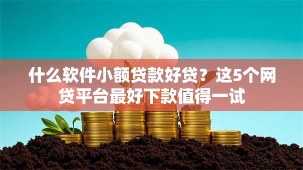 什么软件小额贷款好贷?这5个网贷平台最好下款值得一试 什么软件小额贷款好贷?这5个网贷平台最好下款值得一试
