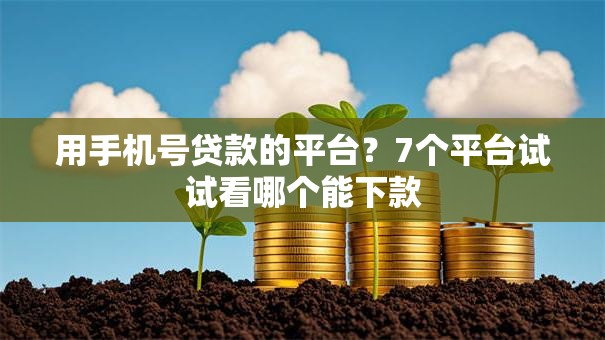 用手机号贷款的平台?7个平台试试看哪个能下款 用手机号贷款的平台?7个平台试试看哪个能下款