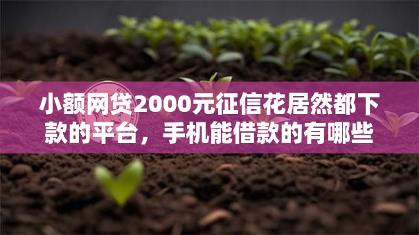 小额网贷2000元征信花居然都下款的平台，手机能借款的有哪些平台的8个平台介绍