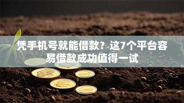 凭手机号就能借款?这7个平台容易借款成功值得一试 凭手机号就能借款?这7个平台容易借款成功值得一试