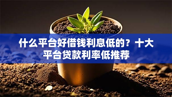 什么平台好借钱利息低的?十大平台贷款利率低推荐 什么平台好借钱利息低的?十大平台贷款利率低推荐