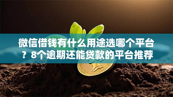 微信借钱有什么用途选哪个平台？8个逾期还能贷款的平台推荐