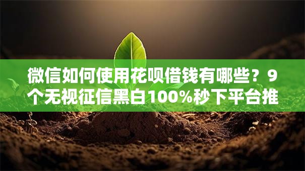 微信如何使用花呗借钱有哪些？9个无视征信黑白100%秒下平台推荐给你