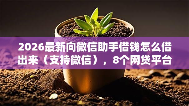2026最新向微信助手借钱怎么借出来（支持微信），8个网贷平台利息最低无私分享