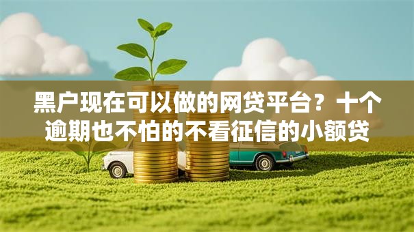 黑户现在可以做的网贷平台？十个逾期也不怕的不看征信的小额贷款平台