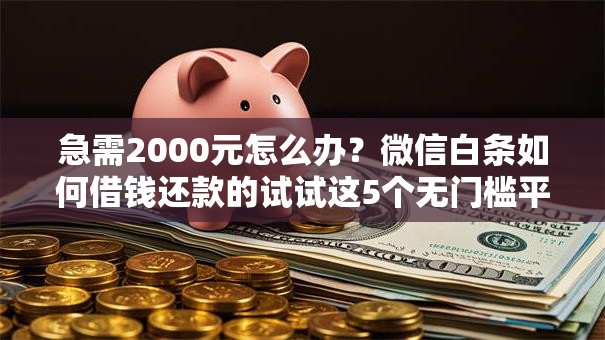 急需2000元怎么办？微信白条如何借钱还款的试试这5个无门槛平台