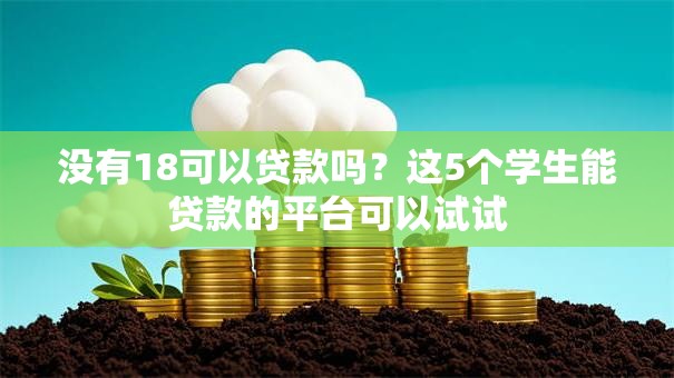 没有18可以贷款吗？这5个学生能贷款的平台可以试试