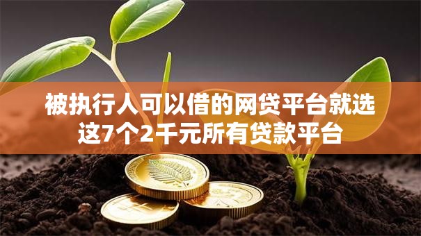 被执行人可以借的网贷平台就选这7个2千元所有贷款平台