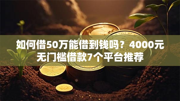 如何借50万能借到钱吗？4000元无门槛借款7个平台推荐