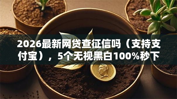 2026最新网贷查征信吗（支持支付宝），5个无视黑白100%秒下网贷平台无私分享